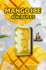 Vozol Rave 40000 Puffs Disposable Vape In Dubai