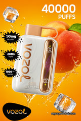 Vozol Star 40000 Puffs Rechargeable Disposable Vape